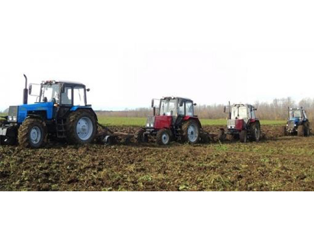 State of Agriculture in Belarus: Harvests at Any Price