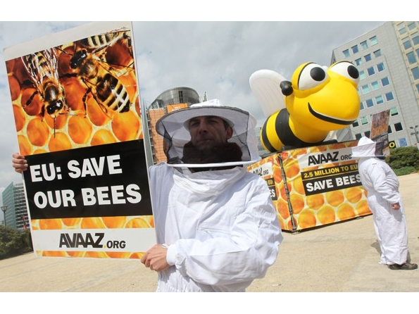 Еврокомиссией введен мораторий на применение на территории Европейского Союза пестицидов, опасных для пчел
