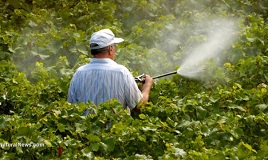 Пестициды для потомков