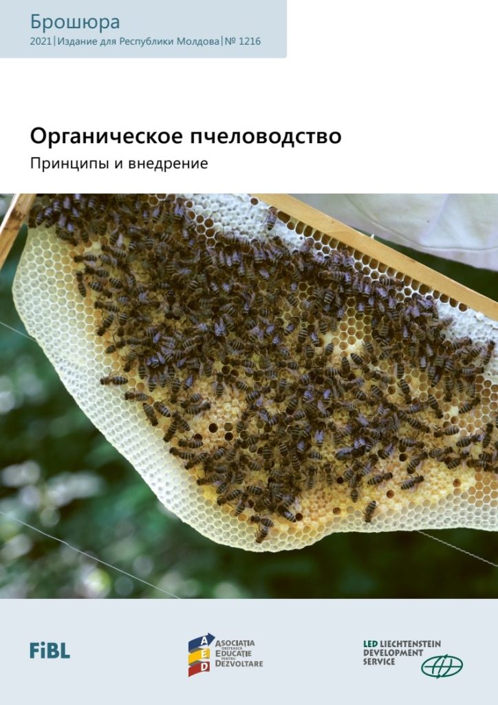 Органическое пчеловодство: принципы и внедрение